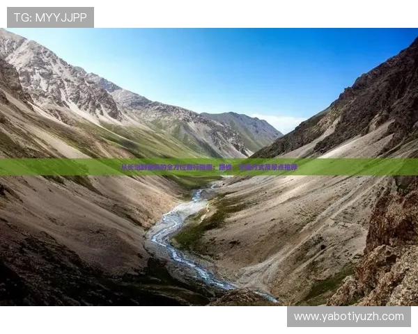 深入了解bob官方体育的特色功能与用户体验提升策略全方位指南